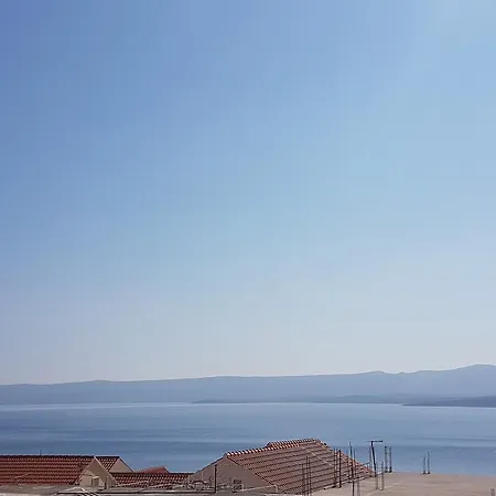Jadera