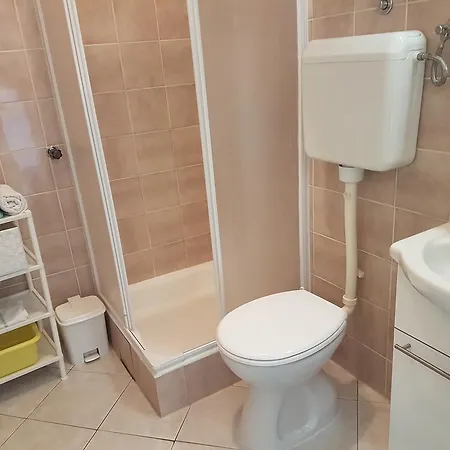 Jadera